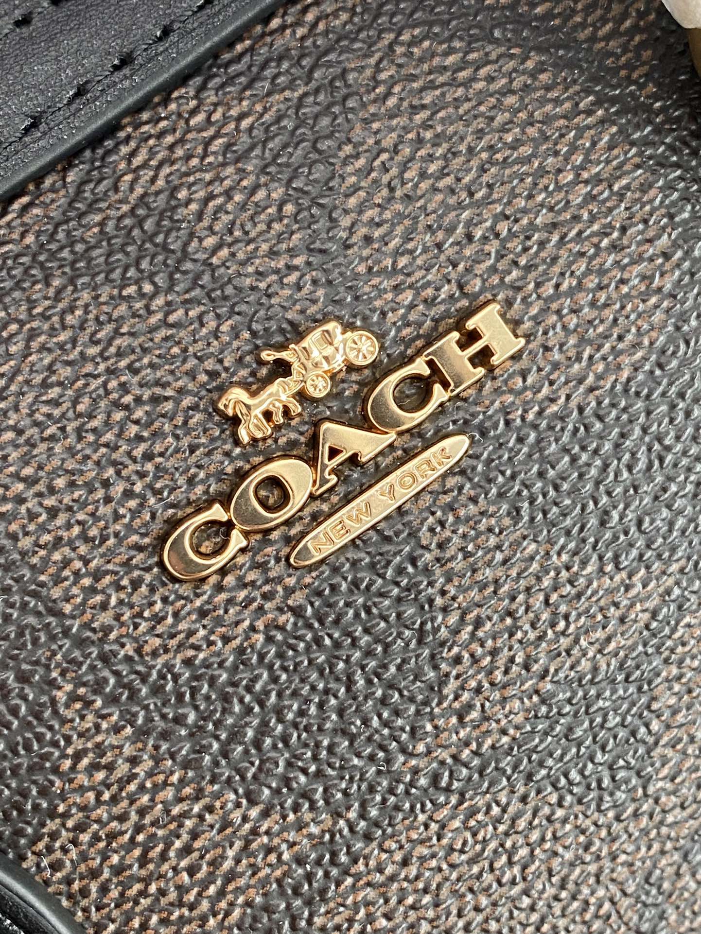 Coach Pillow Bags